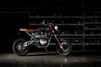 NDP_TRIUMPH_TFC_46