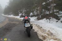 BMW-G310GS_50