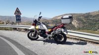 Guzzi_V85TT_9