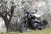 TriumphBobberBlack_72