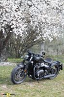 TriumphBobberBlack_74