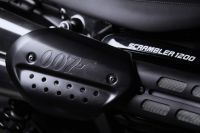 TriumphXNTTD_Scrambler1200_20200427