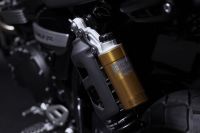 TriumphXNTTD_Scrambler1200_20200526