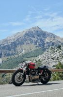Triumph_Thruxton_Stalker_Tamarit_12