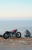 Triumph_Thruxton_Stalker_Tamarit_16