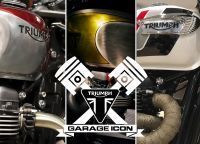 Ndp_Triumph_Garage_Icon2020_00