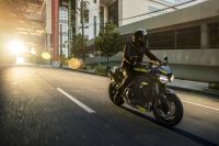 triumph_0O6A4463_RS_GRD_RT_MY20