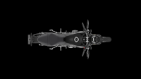 Ndp_Triumph_Trident_7990