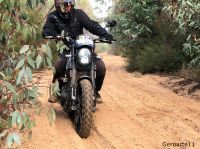BENELLI_LEONCINO_500_TRAIL_Solidaria_1