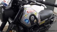 BENELLI_LEONCINO_500_TRAIL_Solidaria_11