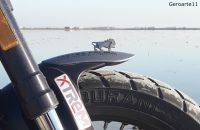 BENELLI_LEONCINO_500_TRAIL_Solidaria_37
