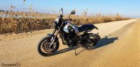 BENELLI_LEONCINO_500_TRAIL_Solidaria_57