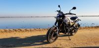 BENELLI_LEONCINO_500_TRAIL_Solidaria_69