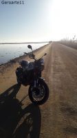 BENELLI_LEONCINO_500_TRAIL_Solidaria_77