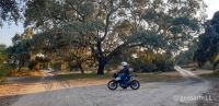 KTM-08