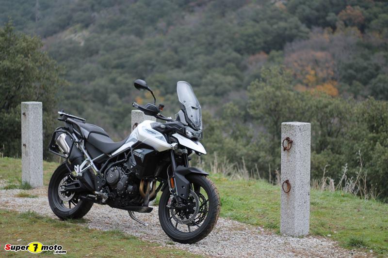 Tiger900GT 2020 60