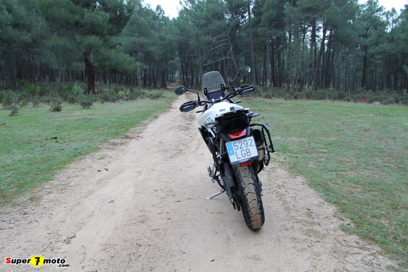 Tiger900GT 2020 69