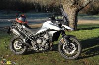 Tiger900GT_2020_03