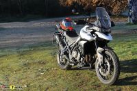 Tiger900GT_2020_04