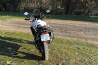 Tiger900GT_2020_06