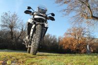 Tiger900GT_2020_28