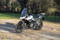 Tiger900GT_2020_30