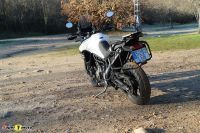 Tiger900GT_2020_34