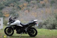 Tiger900GT_2020_56