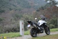 Tiger900GT_2020_63