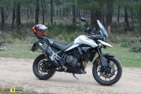 Tiger900GT_2020_66