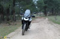 Tiger900GT_2020_71