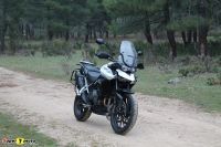 Tiger900GT_2020_72