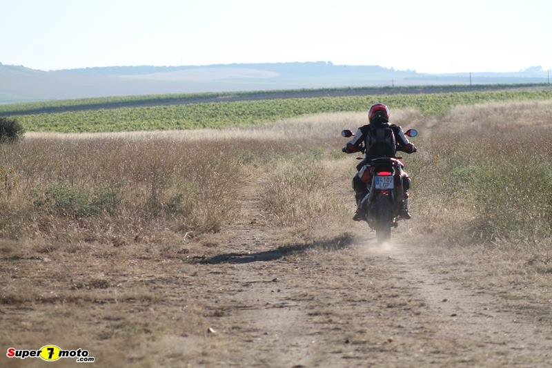 Tiger900Rally 51