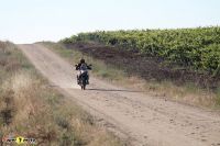 Tiger900Rally_42