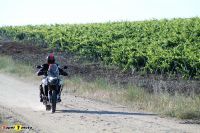 Tiger900Rally_43