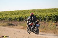 Tiger900Rally_45