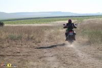 Tiger900Rally_51
