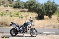 Tiger900Rally_69