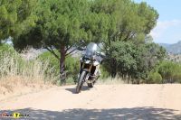 Tiger900Rally_78