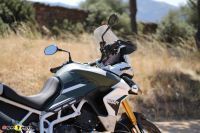 Tiger900Rally_86