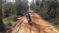 TENERE700-25