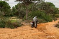 TENERE700-36