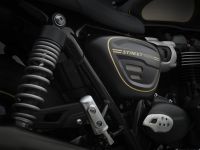 Ndp_Triumph_GamaBonneville2021_139