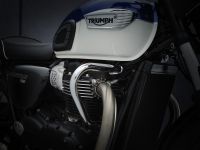 Ndp_Triumph_GamaBonneville2021_223