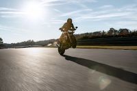 Ndp_Triumph_SpeedTriple1200RS_10