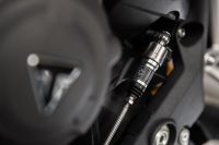 Ndp_Triumph_SpeedTriple1200RS_49