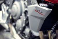 Ndp_Triumph_TigerSport660_41