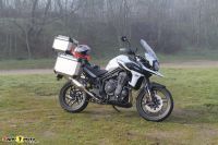 Tiger1200Alpine_04