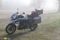 Tiger1200Alpine_13