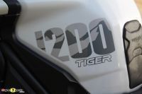 Tiger1200Alpine_15